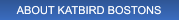 ABOUT KATBIRD BOSTONS ABOUT KATBIRD BOSTONS