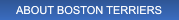 ABOUT BOSTON TERRIERS ABOUT BOSTON TERRIERS