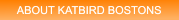 ABOUT KATBIRD BOSTONS ABOUT KATBIRD BOSTONS