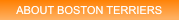 ABOUT BOSTON TERRIERS ABOUT BOSTON TERRIERS