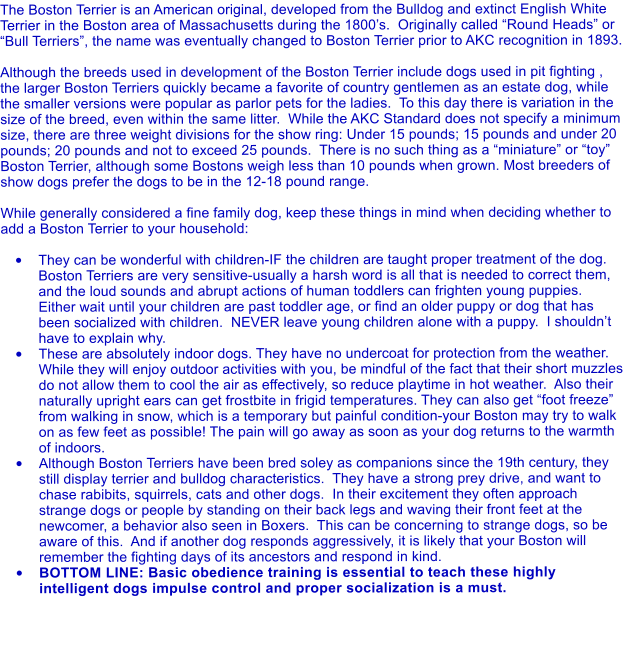 The Boston Terrier is an American original, developed from the Bulldog and extinct English White Terrier in the Boston area of Massachusetts during the 1800�s.  Originally called �Round Heads� or �Bull Terriers�, the name was eventually changed to Boston Terrier prior to AKC recognition in 1893.  Although the breeds used in development of the Boston Terrier include dogs used in pit fighting , the larger Boston Terriers quickly became a favorite of country gentlemen as an estate dog, while the smaller versions were popular as parlor pets for the ladies.  To this day there is variation in the size of the breed, even within the same litter.  While the AKC Standard does not specify a minimum size, there are three weight divisions for the show ring: Under 15 pounds; 15 pounds and under 20 pounds; 20 pounds and not to exceed 25 pounds.  There is no such thing as a �miniature� or �toy� Boston Terrier, although some Bostons weigh less than 10 pounds when grown. Most breeders of show dogs prefer the dogs to be in the 12-18 pound range.  While generally considered a fine family dog, keep these things in mind when deciding whether to add a Boston Terrier to your household:  �	They can be wonderful with children-IF the children are taught proper treatment of the dog.  Boston Terriers are very sensitive-usually a harsh word is all that is needed to correct them, and the loud sounds and abrupt actions of human toddlers can frighten young puppies.  Either wait until your children are past toddler age, or find an older puppy or dog that has been socialized with children.  NEVER leave young children alone with a puppy.  I shouldn�t have to explain why. �	These are absolutely indoor dogs. They have no undercoat for protection from the weather.  While they will enjoy outdoor activities with you, be mindful of the fact that their short muzzles do not allow them to cool the air as effectively, so reduce playtime in hot weather.  Also their naturally upright ears can get frostbite in frigid temperatures. They can also get �foot freeze� from walking in snow, which is a temporary but painful condition-your Boston may try to walk on as few feet as possible! The pain will go away as soon as your dog returns to the warmth of indoors. �	Although Boston Terriers have been bred soley as companions since the 19th century, they still display terrier and bulldog characteristics.  They have a strong prey drive, and want to chase rabibits, squirrels, cats and other dogs.  In their excitement they often approach strange dogs or people by standing on their back legs and waving their front feet at the newcomer, a behavior also seen in Boxers.  This can be concerning to strange dogs, so be aware of this.  And if another dog responds aggressively, it is likely that your Boston will remember the fighting days of its ancestors and respond in kind. �	BOTTOM LINE: Basic obedience training is essential to teach these highly intelligent dogs impulse control and proper socialization is a must.